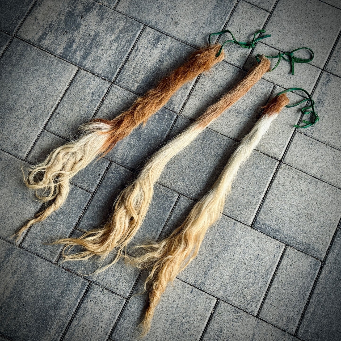 Kuhschweif Natur | Mittel