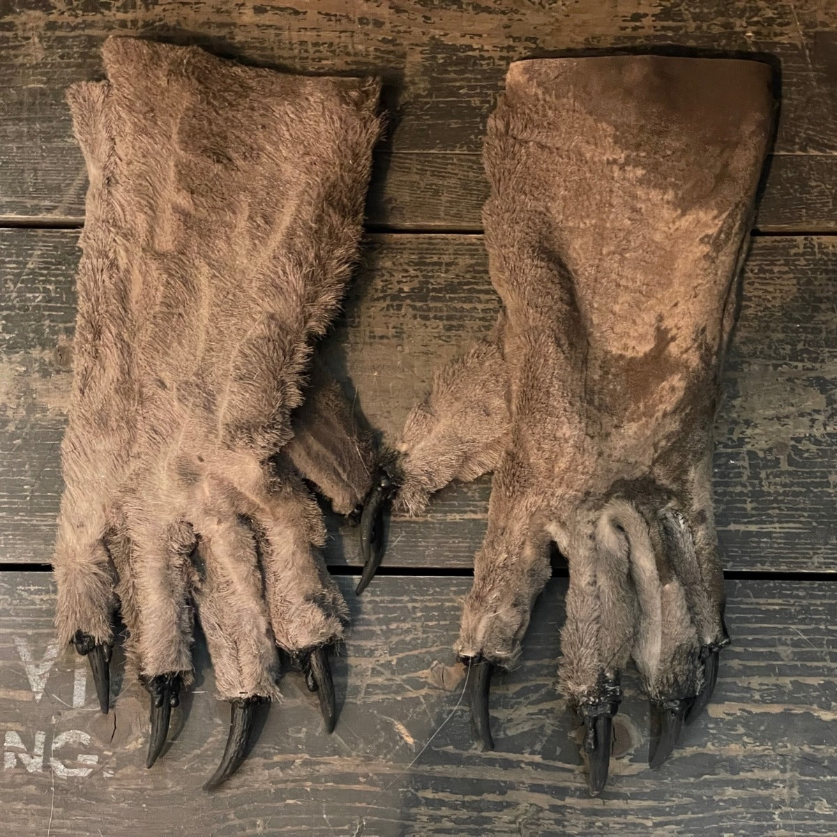 Krallenhandschuhe Ledrig | Hellbraun