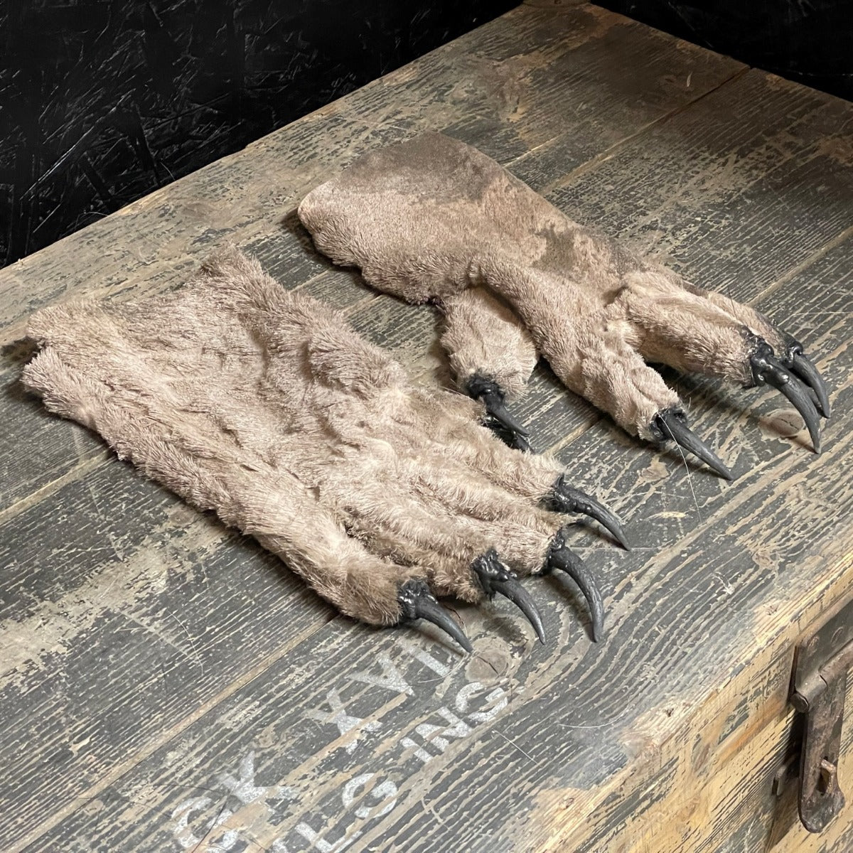 Krallenhandschuhe Ledrig | Hellbraun