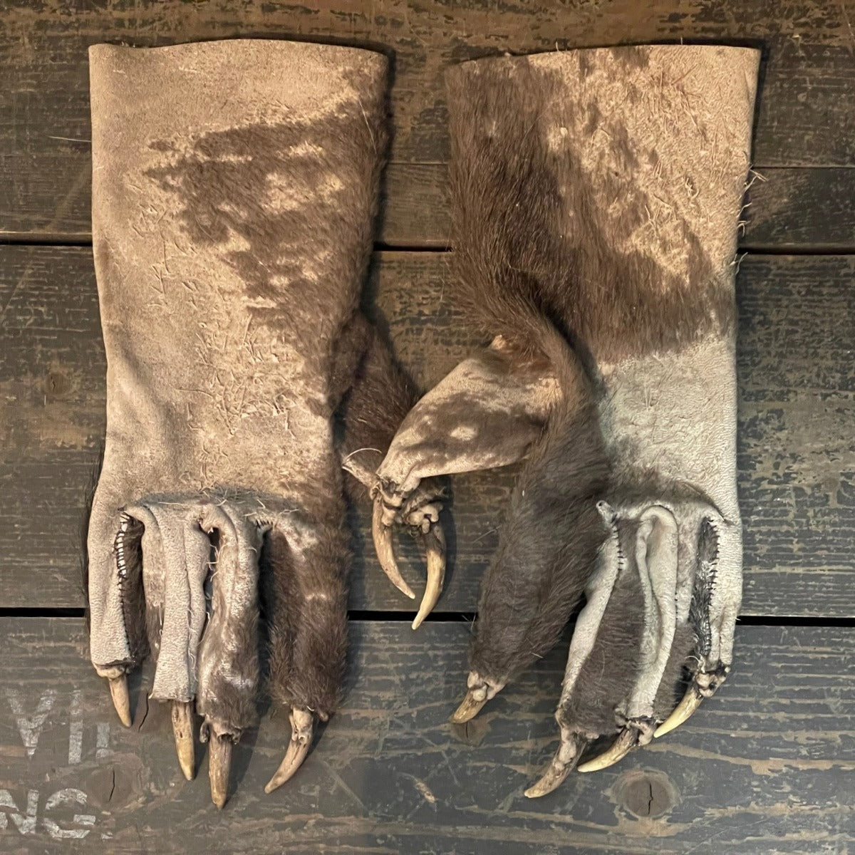 Krallenhandschuhe Ledrig | Grau