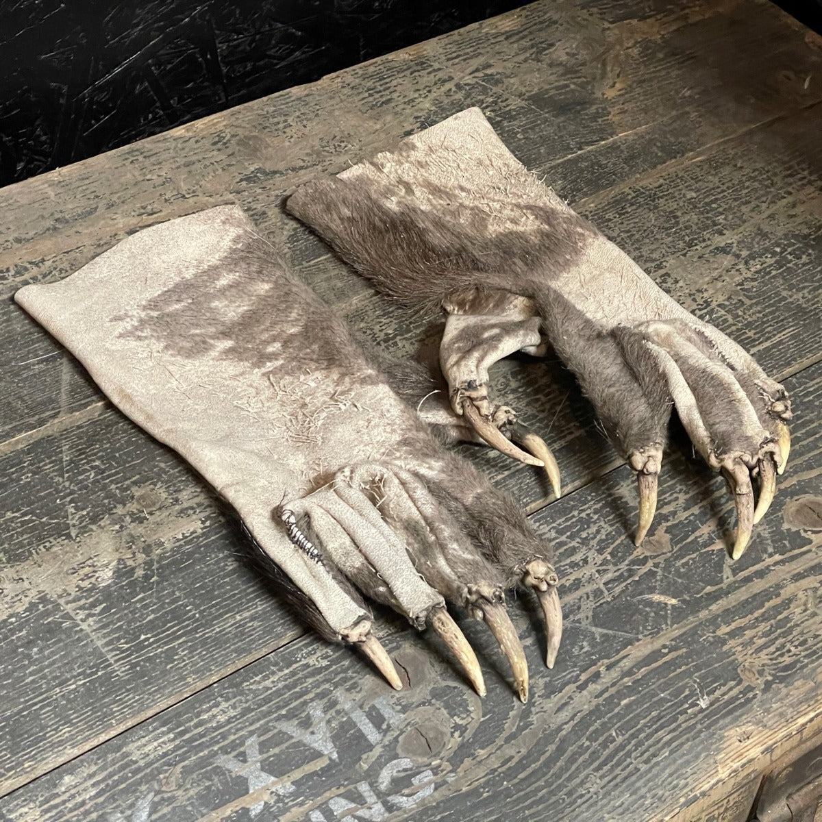 Krallenhandschuhe Ledrig | Grau