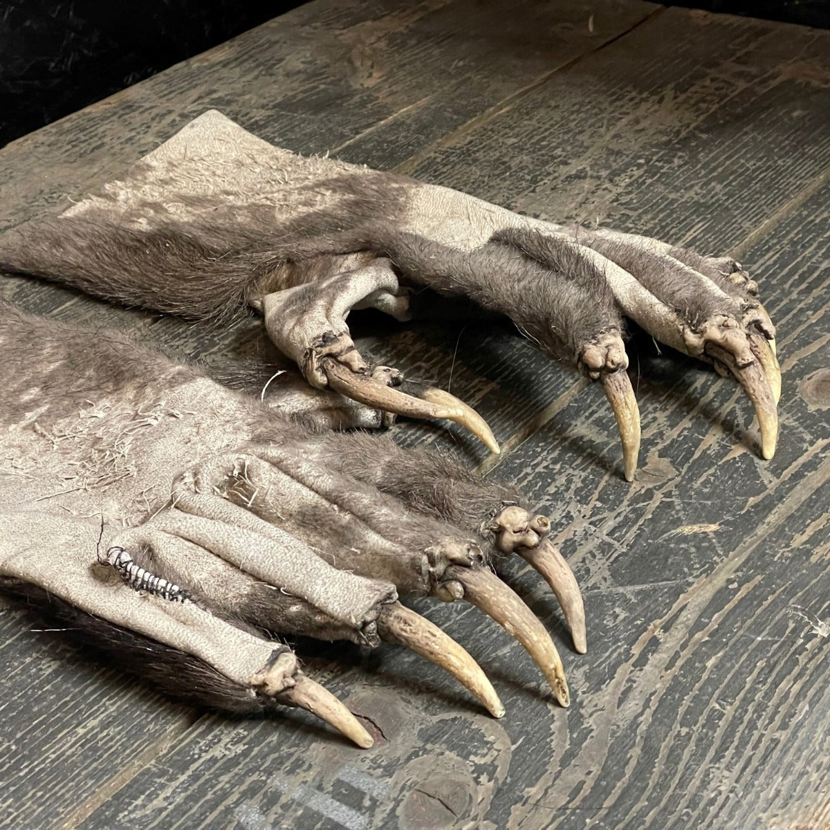 Krallenhandschuhe Ledrig | Grau