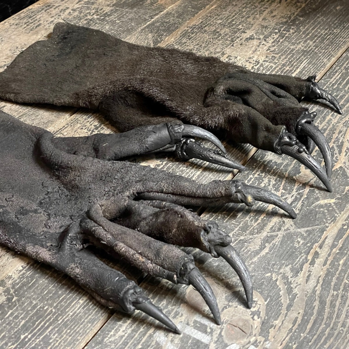 handschuhe krallen Krallenhandschuhe Ledrig | Dunkelbraun – Krampuszeugs e.U