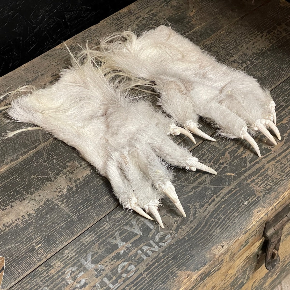 Fellhandschuhe | Weiß