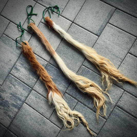 Kuhschweif Natur | Mittel