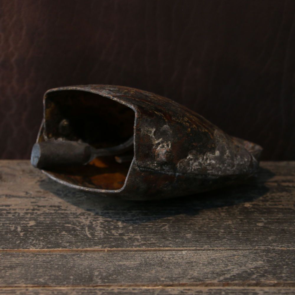 Flachmaulschelle | Klein