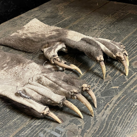 Krallenhandschuhe Ledrig | Grau