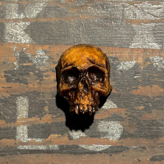 Schädel - Typ 5 | Antik